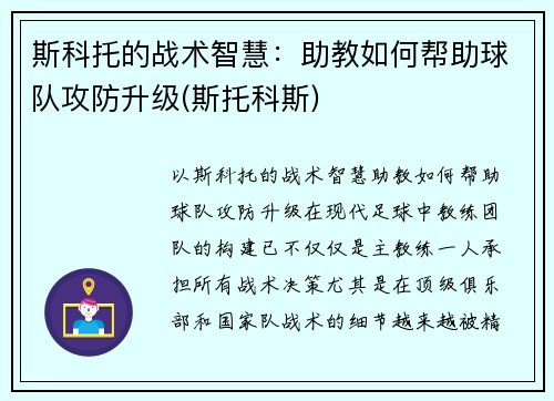 斯科托的战术智慧：助教如何帮助球队攻防升级(斯托科斯)