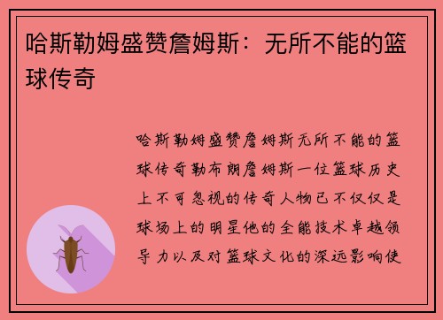 哈斯勒姆盛赞詹姆斯：无所不能的篮球传奇